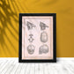Paillou Fetal skull-Artwork-Nacnic-Nacnic Estudio SL