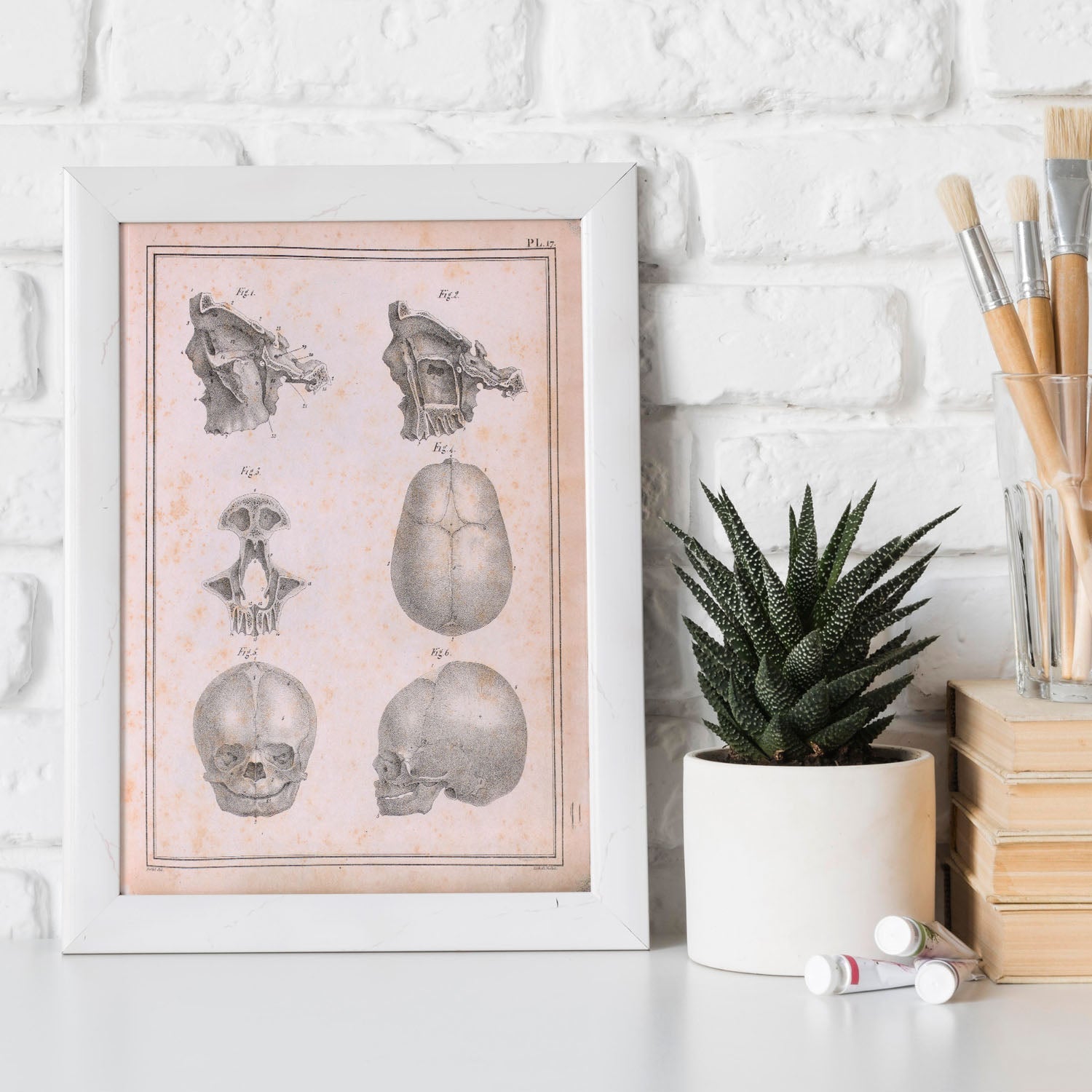 Paillou Fetal skull-Artwork-Nacnic-Nacnic Estudio SL