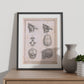 Paillou Fetal skull-Artwork-Nacnic-Nacnic Estudio SL
