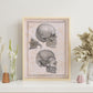 Paillou Sideview Skull-Artwork-Nacnic-Nacnic Estudio SL