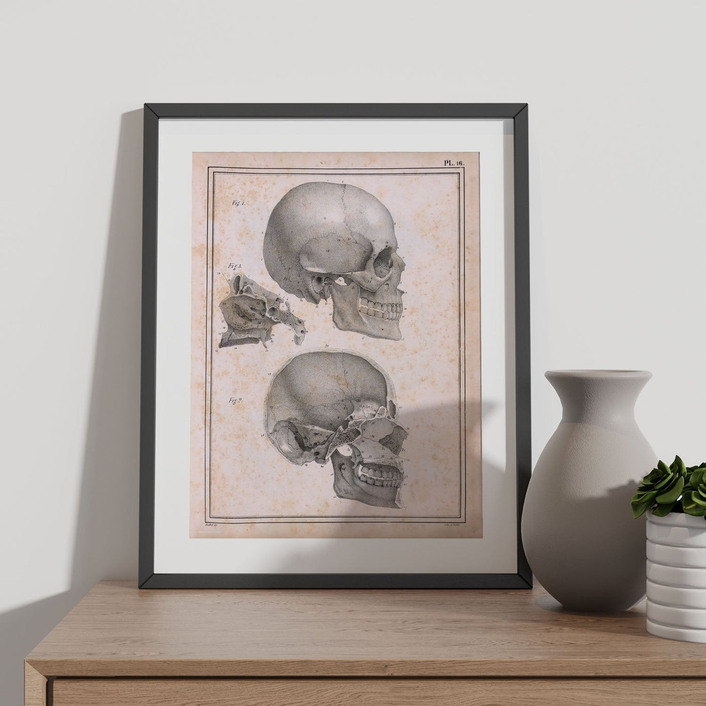 Paillou Sideview Skull-Artwork-Nacnic-Nacnic Estudio SL