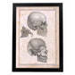 Paillou Sideview Skull-Artwork-Nacnic-A3-Sin marco-Nacnic Estudio SL
