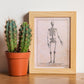 Paillou Skeleton-Artwork-Nacnic-Nacnic Estudio SL