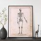 Paillou Skeleton-Artwork-Nacnic-Nacnic Estudio SL