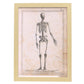 Paillou Skeleton-Artwork-Nacnic-A3-Marco Madera clara-Nacnic Estudio SL