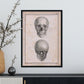 Paillou Skull-Artwork-Nacnic-Nacnic Estudio SL