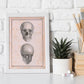 Paillou Skull-Artwork-Nacnic-Nacnic Estudio SL