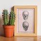 Paillou Skull-Artwork-Nacnic-Nacnic Estudio SL