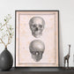 Paillou Skull-Artwork-Nacnic-Nacnic Estudio SL