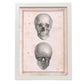 Paillou Skull-Artwork-Nacnic-A3-Marco Blanco-Nacnic Estudio SL