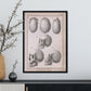 Paillou Skulls; cauasoid, negroid and mongoloid-Artwork-Nacnic-Nacnic Estudio SL