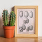 Paillou Skulls; cauasoid, negroid and mongoloid-Artwork-Nacnic-Nacnic Estudio SL