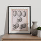 Paillou Skulls; cauasoid, negroid and mongoloid-Artwork-Nacnic-Nacnic Estudio SL