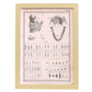 Paillou Teeth, maxilla and mandible-Artwork-Nacnic-A3-Marco Madera clara-Nacnic Estudio SL