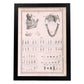 Paillou Teeth, maxilla and mandible-Artwork-Nacnic-A3-Sin marco-Nacnic Estudio SL