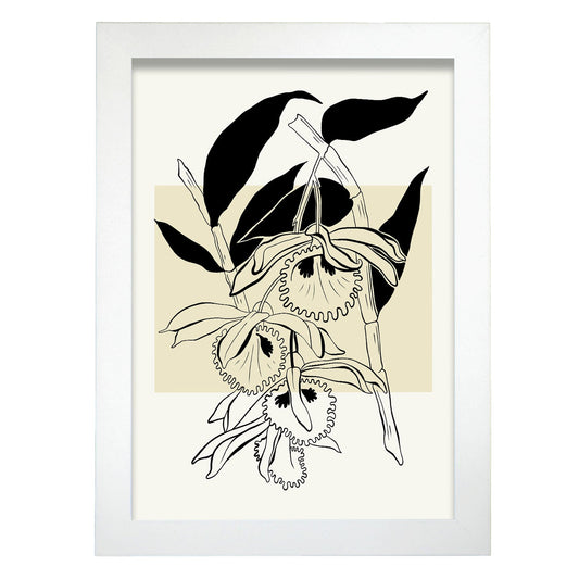 Paradise Orchid-Artwork-Nacnic-A4-Marco Blanco-Nacnic Estudio SL