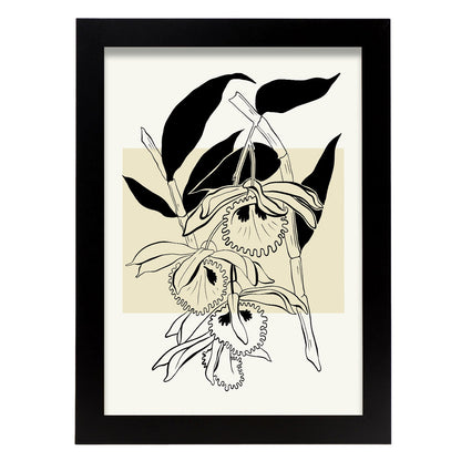 Paradise Orchid-Artwork-Nacnic-A4-Sin marco-Nacnic Estudio SL