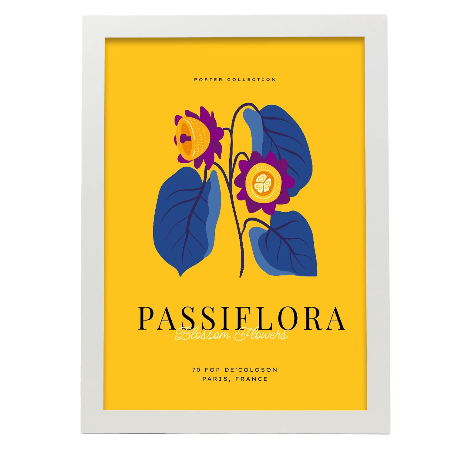 Passiflora-Artwork-Nacnic-A3-Marco Blanco-Nacnic Estudio SL