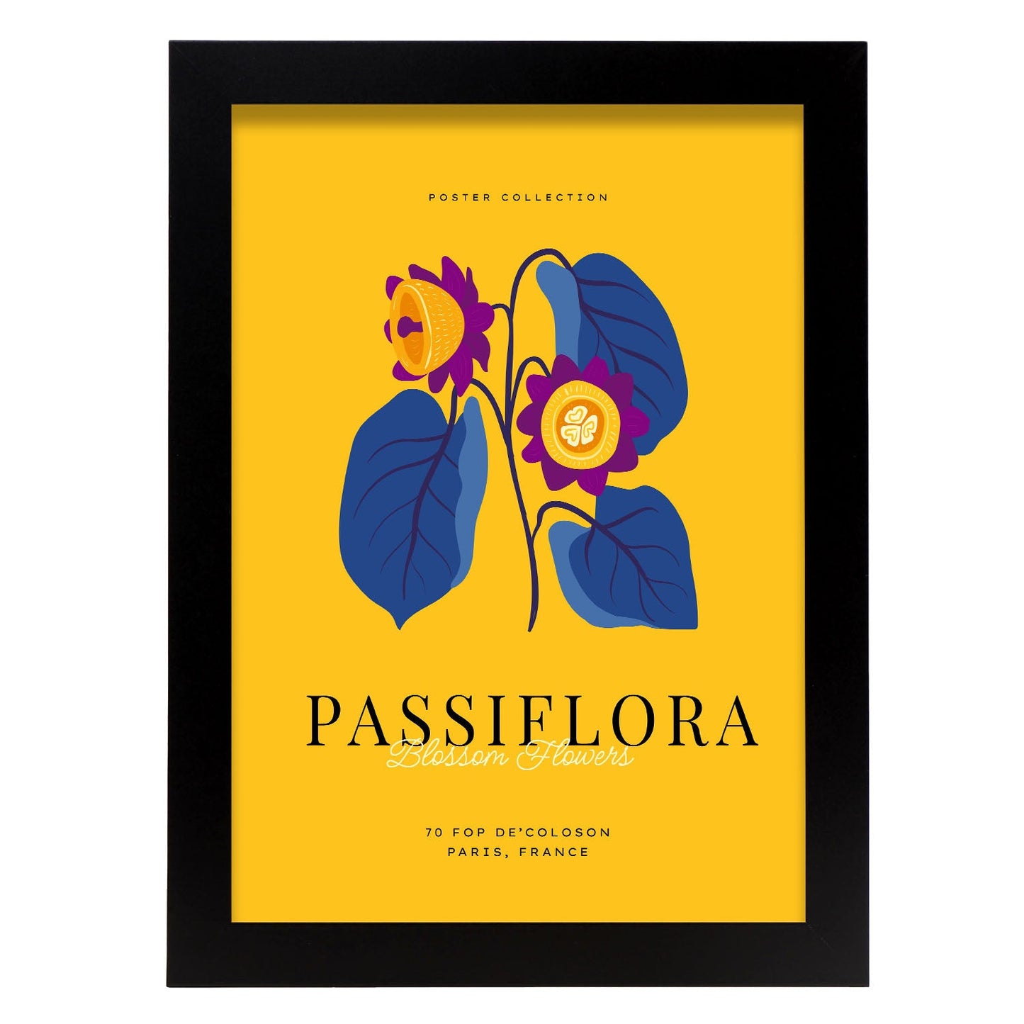 Passiflora-Artwork-Nacnic-A4-Sin marco-Nacnic Estudio SL