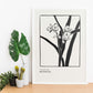 Phalaenopsis-Artwork-Nacnic-Nacnic Estudio SL