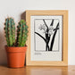 Phalaenopsis-Artwork-Nacnic-Nacnic Estudio SL