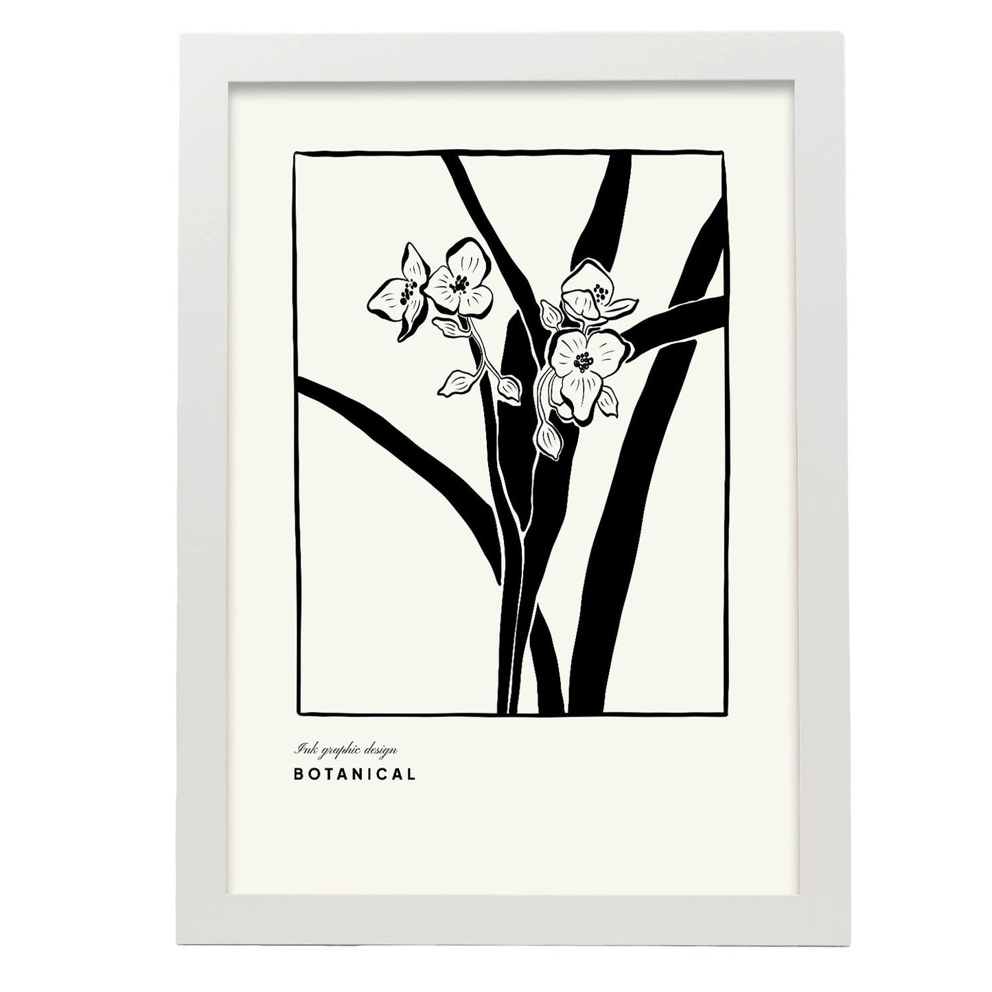 Phalaenopsis-Artwork-Nacnic-A3-Marco Blanco-Nacnic Estudio SL