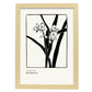 Phalaenopsis-Artwork-Nacnic-A3-Marco Madera clara-Nacnic Estudio SL