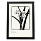 Phalaenopsis-Artwork-Nacnic-A3-Sin marco-Nacnic Estudio SL