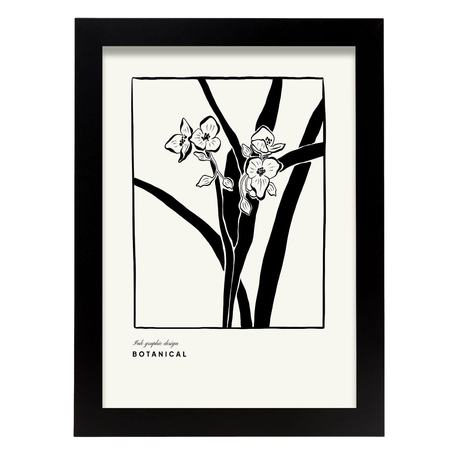 Phalaenopsis-Artwork-Nacnic-A4-Sin marco-Nacnic Estudio SL