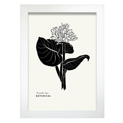 Phlox-Artwork-Nacnic-A4-Marco Blanco-Nacnic Estudio SL