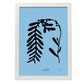 Phyllophora-Artwork-Nacnic-A3-Marco Blanco-Nacnic Estudio SL