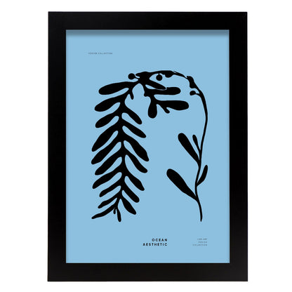 Phyllophora-Artwork-Nacnic-A4-Sin marco-Nacnic Estudio SL