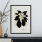 Ponsensia Flower-Artwork-Nacnic-Nacnic Estudio SL