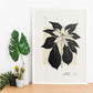 Ponsensia Flower-Artwork-Nacnic-Nacnic Estudio SL