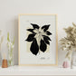 Ponsensia Flower-Artwork-Nacnic-Nacnic Estudio SL