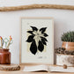 Ponsensia Flower-Artwork-Nacnic-Nacnic Estudio SL