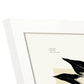Ponsensia Flower-Artwork-Nacnic-Nacnic Estudio SL