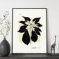 Ponsensia Flower-Artwork-Nacnic-Nacnic Estudio SL