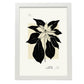 Ponsensia Flower-Artwork-Nacnic-A3-Marco Blanco-Nacnic Estudio SL