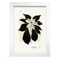 Ponsensia Flower-Artwork-Nacnic-A4-Marco Blanco-Nacnic Estudio SL