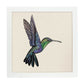 Poster cuadrado con dibujos de pájaros. Lámina Colibrí, ilustrada con dibujos de pajaros y periquitos.-Artwork-Nacnic-20x20 cm-Marco Blanco-Nacnic Estudio SL