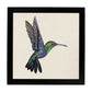 Poster cuadrado con dibujos de pájaros. Lámina Colibrí, ilustrada con dibujos de pajaros y periquitos.-Artwork-Nacnic-25x25 cm-Marco Negro-Nacnic Estudio SL