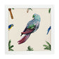 Poster cuadrado con dibujos de pájaros. Lámina Lorito parlanchín, ilustrada con dibujos de pajaros y periquitos.-Artwork-Nacnic-25x25 cm-Marco Blanco-Nacnic Estudio SL