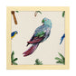 Poster cuadrado con dibujos de pájaros. Lámina Lorito parlanchín, ilustrada con dibujos de pajaros y periquitos.-Artwork-Nacnic-25x25 cm-Marco Madera clara-Nacnic Estudio SL