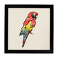 Poster cuadrado con dibujos de pájaros. Lámina Lorito que me dices, ilustrada con dibujos de pajaros y periquitos.-Artwork-Nacnic-25x25 cm-Marco Negro-Nacnic Estudio SL