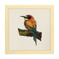 Poster cuadrado con dibujos de pájaros. Lámina Pajarito en reposo, ilustrada con dibujos de pajaros y periquitos.-Artwork-Nacnic-20x20 cm-Marco Madera clara-Nacnic Estudio SL