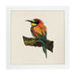 Poster cuadrado con dibujos de pájaros. Lámina Pajarito en reposo, ilustrada con dibujos de pajaros y periquitos.-Artwork-Nacnic-25x25 cm-Marco Blanco-Nacnic Estudio SL