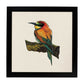 Poster cuadrado con dibujos de pájaros. Lámina Pajarito en reposo, ilustrada con dibujos de pajaros y periquitos.-Artwork-Nacnic-25x25 cm-Marco Negro-Nacnic Estudio SL