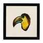 Poster cuadrado con dibujos de pájaros. Lámina Shelpie, ilustrada con dibujos de pajaros y periquitos.-Artwork-Nacnic-25x25 cm-Marco Negro-Nacnic Estudio SL