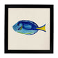 Poster cuadrado con dibujos de peces. Lámina Pez azulón, ilustrada con dibujos de peces y animales del mar.-Artwork-Nacnic-20x20 cm-Marco Negro-Nacnic Estudio SL
